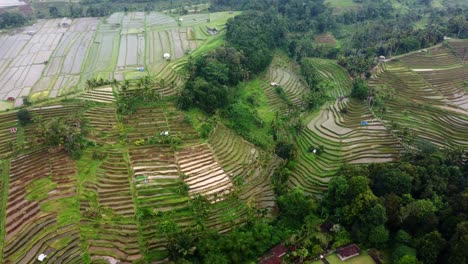 Imágenes-Aéreas-De-Drones-De-4k:-Terrazas-De-Arroz-Verdes-De-Jatiluwih-Unesco,-Ubud,-Bali