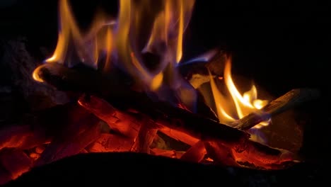 Firewood-burning-at-night-for-warmth,-close-up-view