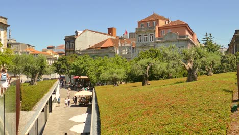 Zona-Verde-En-El-Centro-De-La-Ciudad-De-Oporto-En-Portugal-Con-Varios-Olivos