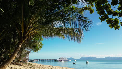 Beautiful-Palm-Tree-Beach-On-The-Tropical-Island-Of-Koh-Samui