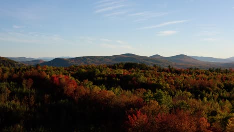 Luftüberflug-Einer-Wunderschönen-Waldlandschaft-Während-Der-Herbstfarben