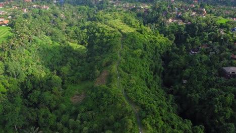 Aerial-4K-Drone-Footage:-Breathtaking-View-of-Lush-Rainforest,-Villas,-Tropical-Beauty-near-Campuhan-Ridge,-Ubud,-Bali