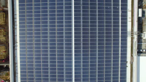 Paneles-Solares-En-El-Techo-De-Una-Gran-Fábrica-En-Israel:-El-País-Está-Tratando-De-Alcanzar-El-Objetivo-Del-20%-De-Energía-Renovable-Para-2025.
