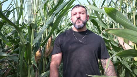 man-observing-his-surroundings-a-corn-field