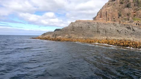 Fast-tourist-boat-speeding-past-a-rocky-outcrop-with-kelp-at-Bruny-Island-in-the-Southern-Ocean-off-Tasmania