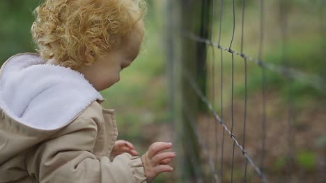 Caucasian-toddler-putting-old-leafs-through-the-fence,-while-enjoying-the-outdoor-forest-environment