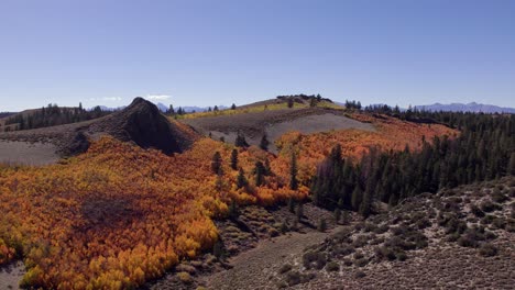 Drohnenaufnahme-Von-Herbstfarben-Auf-Einer-Wiese-Im-Mono-County,-Kalifornien-–-Umlaufbahn-über-Der-Wiese-In-Der-Nähe-Des-Sage-Hen-Gipfels