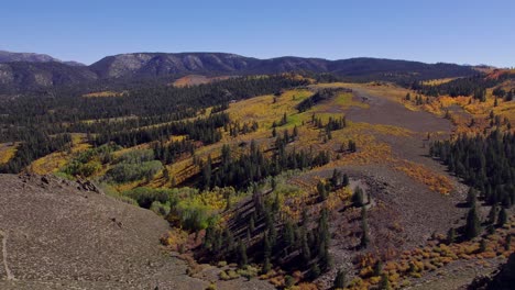 Drone-Shot-of-Fall-Colors-in-a-Meadow-in-Mono-County,-California---Orbit-left-shot-of-changing-leaves