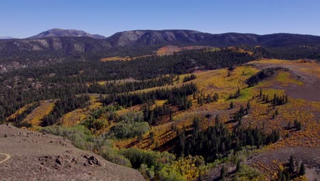 Drone-Shot-of-Fall-Colors-in-a-Meadow-in-Mono-County,-California---Pull-back-to-reveal-stunning-fall-colors-in-the-Eastern-Sierra