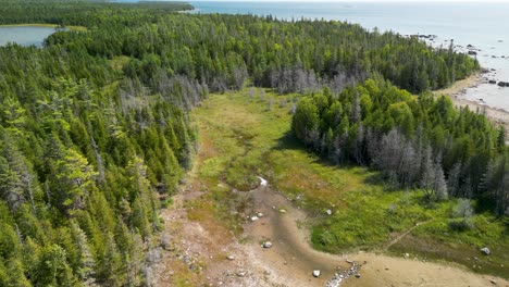 Aerial-descent-pan-up-of-coastline-and-forest-creek,-Les-Cheneaux-Islands,-Michigan