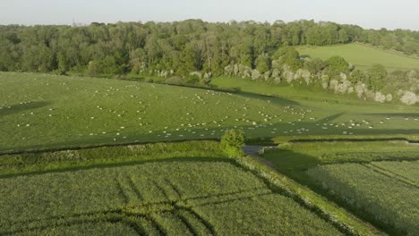 Sheep-Field-Yanworth-Cotswolds-Spring-Aerial-Landscape-Countryside-UK