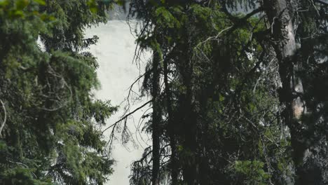 Eine-Filmische-Aufnahme-Eines-Dichten-Waldes-Mit-Einem-Dramatischen-Wasserfall-Im-Hintergrund