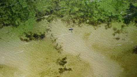 A-breathtaking-aerial-shot-of-Kuźnica's-crystal-clear-waters-reveals-visible-underwater-vegetation-and-a-small-canoe-paddling-on-the-surface