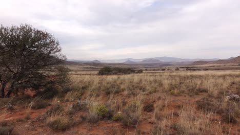 Landschaften-Der-Großen-Karoo