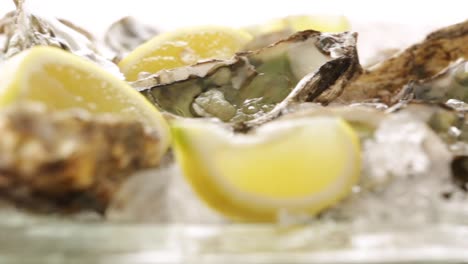fresh-oysters-in-portugal-restaurant