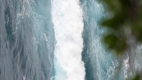 Zerklüftete-Küste,-Windtreibende-Pflanzen-Und-Mächtige-Wellen-Im-Hintergrund,-Rack-Fokus