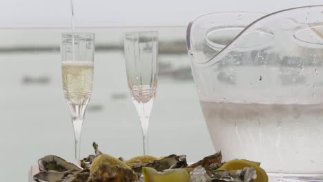 Oysters-and-Green-wine-glass