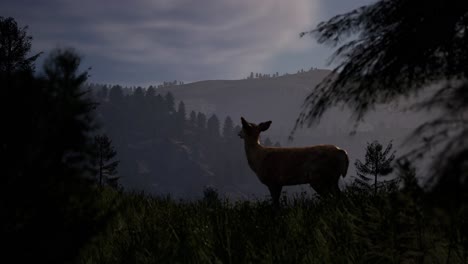 a-deer-eating-in-a-dark-pine-forest-with-mist-and-mountain-range-at-the-background,-3D-animation,-animated-scene,-camera-zoom-in