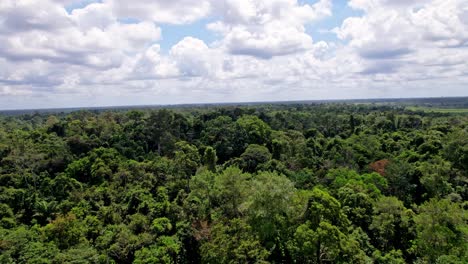 Aerial-views-of-the-incredible-Amazon,-a-tropical-rainforest-in-the-basin-of-the-river-of-the-same-name