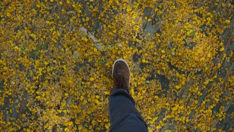 man-in-slippers-walks-on-yellow-leaves-on-the-ground-in-an-autumn-evening