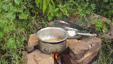 Kochen-Sie-Dal-Curry-Oder-Hülsenfrüchte,-Ein-Indisches-Gericht-Beim-Picknick-Im-Freien-In-Indien