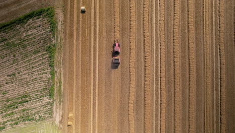 Combine-harvester-machine-harvesting-crops-at-farmland-in-Poland
