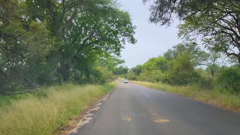 Fahrt-Durch-Die-Afrikanische-Savanne-Mit-Elefanten,-Die-In-Der-Ferne-Die-Straße-überqueren