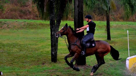 A-rider-and-horse-clear-an-obstacle-during-a-cross-country-race