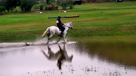 A-beautiful-white-horse-and-its-rider-gallop-through-a-pool-of-water