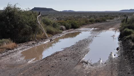 Static-shot:-Mud-puddles-at-broken-fence-gate-in-flat,-arid-landscape