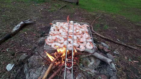 POV-clip-of-man-grilling-the-shrimps-on-the-fire-while-camping
