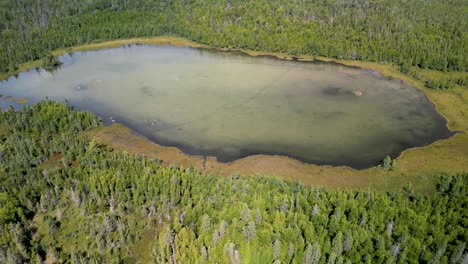 Aerial-pan-down-to-small-forested-inland-lake,-Michigan