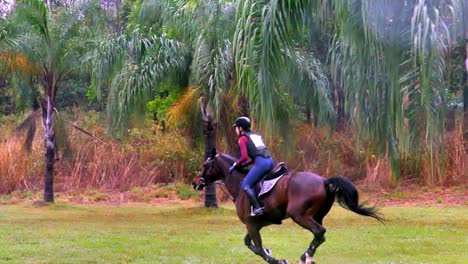 Beautiful-slow-motion-shot-of-a-rider-with-his-horse-at-a-fast-gallop