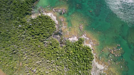 Aerial-topdown-of-Lake-Huron-forested-rocky-coastline-with-clear-water