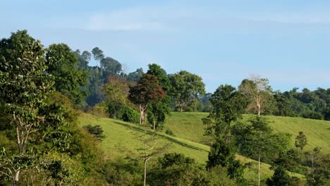 A-time-lapse-of-this-lovely-landscape-of-hills-and-forest-during-the-afternoon-as-the-sun-sets-while-the-clouds-move-with-blue-sky,-Khao-Yai-National-Park,-Thailand
