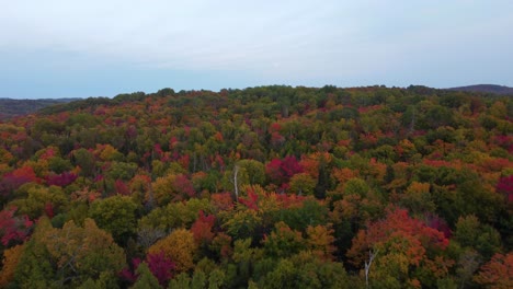 Aerial-establishing-shot-of-autumn-in-the-forest