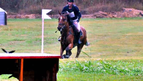 A-jockey-at-full-gallop-on-his-browny-horse-during-a-cross-country-race