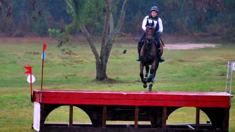 Frontal-shot-of-a-horse-and-rider-in-the-rain-jumping-over-an-obstacle