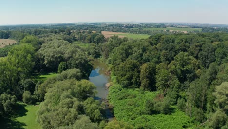 Aerial-drone-shot-of-dirty-river-in-the-middle-of-trees-during-summer