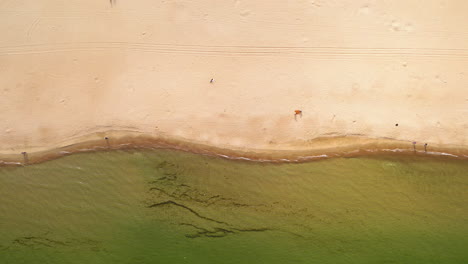 Calm-ocean-water-washes-up-on-golden-sandy-shoreline-as-friends-walk-along-the-coast,-drone-top-down