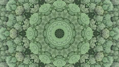 Third-eye-throat-chakra-ethnic-sacred-geometry-3d-mandala-kaleidoscope-infinite-patterns-seamless-vj-loop-patterns-for-spiritual-meditation-psychedelic-substance-trippy-trance-trip