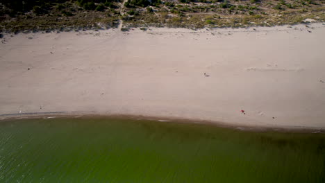 Aerial-top-down-shot-of-sandy-beach-with-green-clear-baltic-sea-water-during-sunny-day-on-Hel-Island