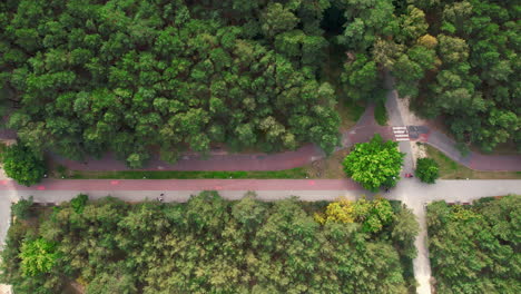 Top-down-aerial-view-of-walking-and-bike-path-intersections-coming-out-of-urban-forest-for-commuters