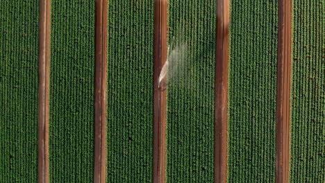 Aerial:-Top-down-shot-of-irrigation-sprinkler-spraying-water-in-green-field