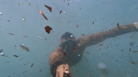diving-among-poseidonas-in-the-Mediterranean