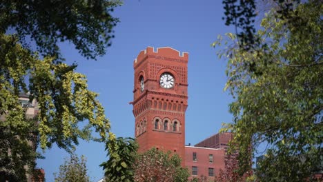 Clocktower-In-Chicago-Viewed-Through-Trees-From-Public-Park-Printers-Row-South-Loop