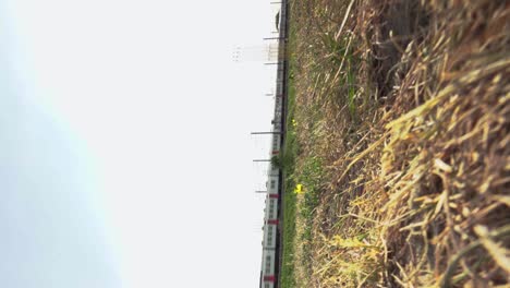 Vertical-video-of-two-highspeed-trains-pass-each-other-near-a-bridge-along-a-long-rural-stretch,-NMBS,-Belgium