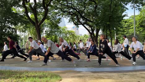 Escena-De-Gente-Practicando-Taichi-En-El-Parque-Multifuncional-Lumpini,-Bangkok,-Tailandia