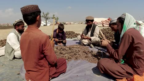 Family-Cleaning-Chilgoza-Nuts-in-Khost's-Market