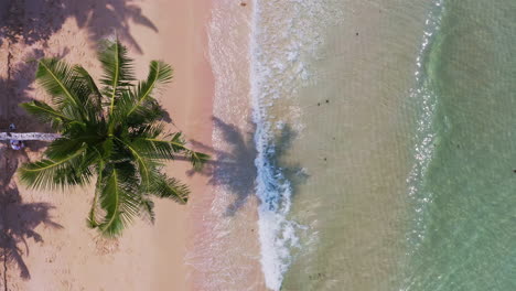 Man-relaxing-and-swinging-on-palm-tree-swing-on-Koh-Kood-beach
